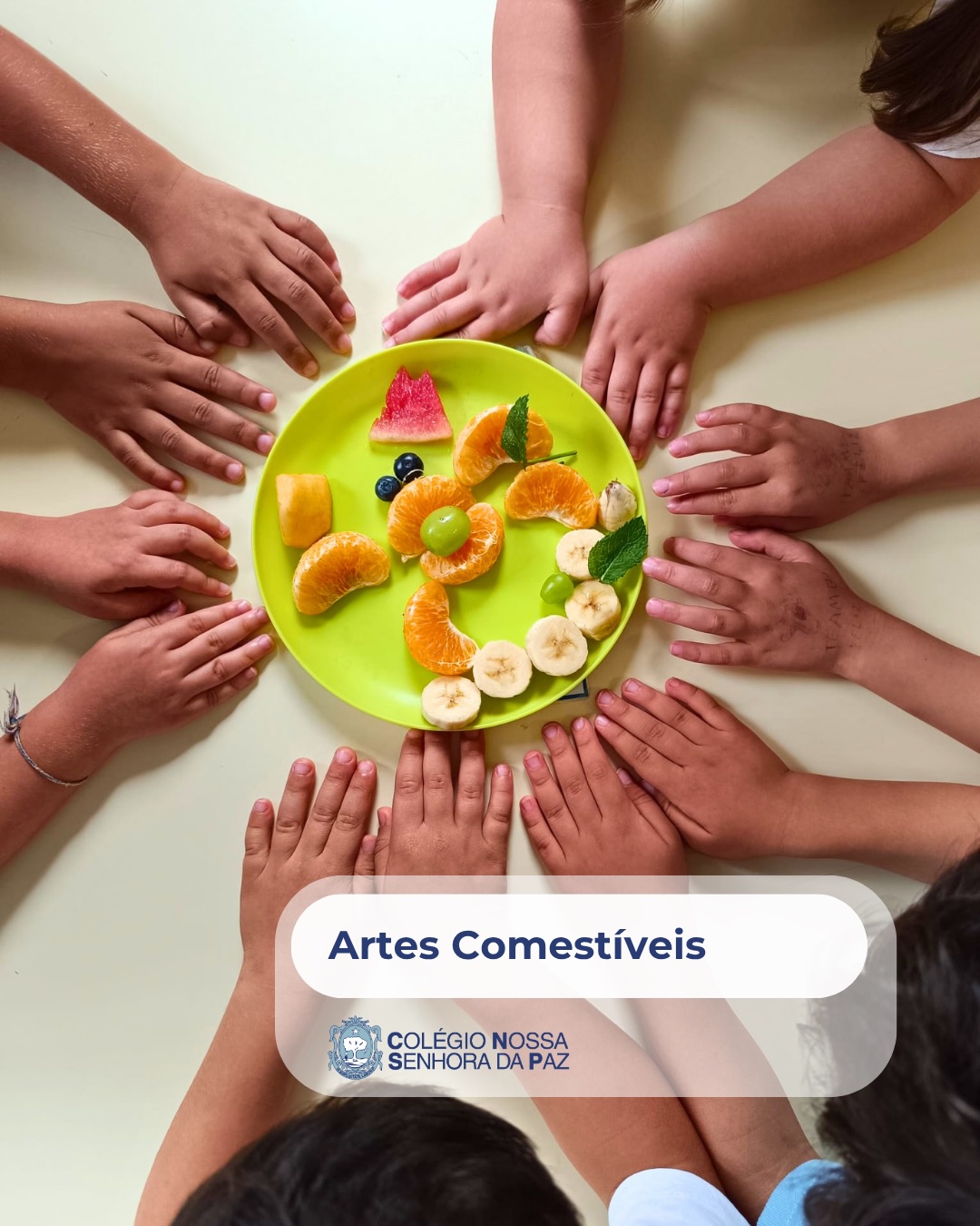 Está a acontecer! Entre frutas, sorrisos e muita imaginação, nasceram verdadeiras obras-primas no prato! Nas…