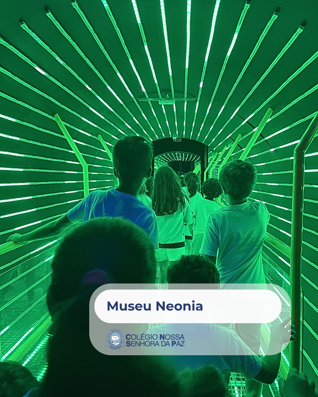 Está a acontecer! No coração do Porto, visitamos uma cidade paralela feita de luz, som…