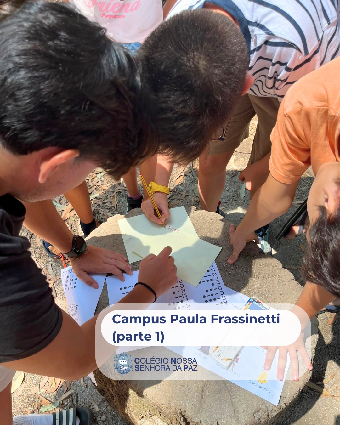 Campus Frassinetti: uma semana para viver, crescer e transformar! No Sardão e no Linhó, crianças…